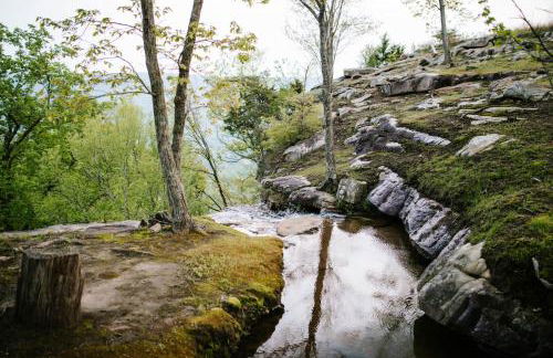 BEAUTIFUL Jasper Highlands Cabin - AZALEA - Foto 45