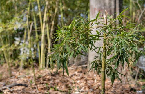 Spacious 4-bedroom Marietta Home w/ free parking - Foto 29