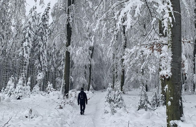 Holiday Home in Cetturu With Sauna - Photo 42