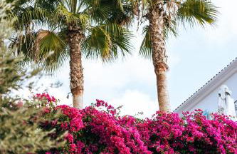 Luxury Apartments La Villa - Foto 73