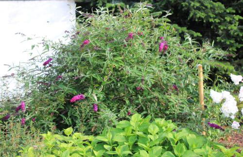 Ferienhaus Däschinger Das Zweiradparadies - Foto 45