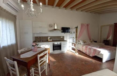 La Casina di campagna tra Cecina e Bibbona - Foto 19