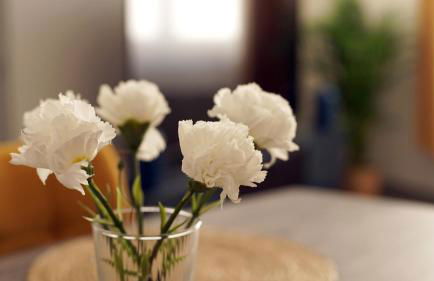 Apparemment t3 au cœur champenois - Foto 13