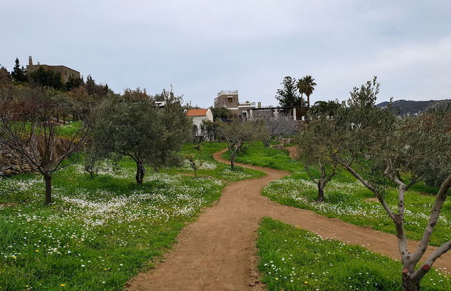 Green Island Resort Kea - Foto 67