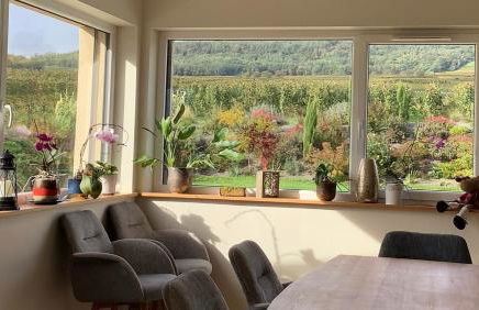 Superbe Maison Jacuzzi+Piscine au cœur des vignes - Foto 8