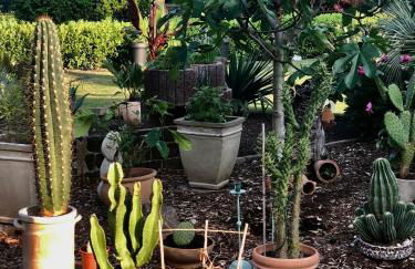 Am Stephanswäldchen - Foto 6