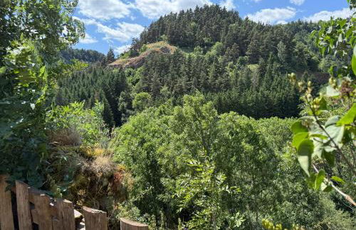 Gite LES SOURCES, 9 pers, 11 couchages - Arlempdes, classé un des plus beaux villages de France - Foto 11