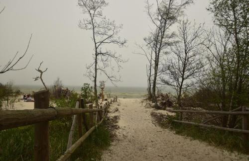 Seaside Villa with Sauna - Foto 33