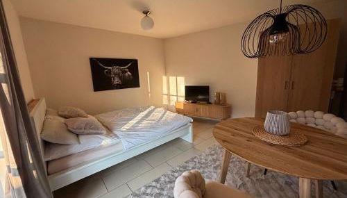 Ferienwohnung RUNWAY in Regensburg - Foto 3