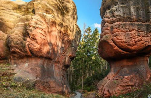 Ferienwohnung Anno1898 Zittau - Foto 19