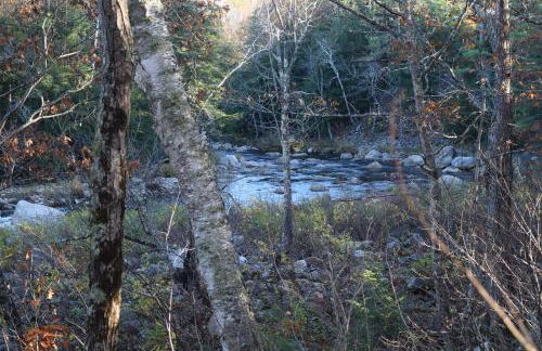 White Mountain Escape - Ski Attitash - Foto 26