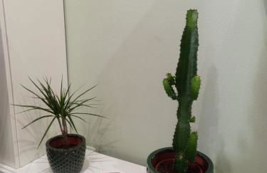 Casco Viejo, tranquilo, reformado, Bilbao a pie - Foto 22