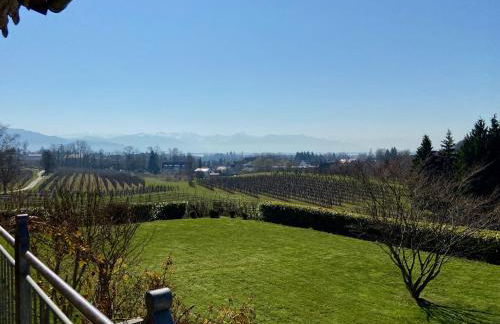 Ferienwohnung Weinberg-Idyll - Traumhafter Blick über Weinberge auf den Bodensee - Foto 20