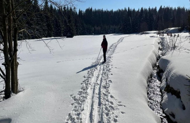 Flat in Zwickau Near August Horch Museum - Foto 28