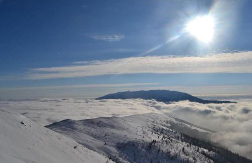 La marmotta gialla - apartment - lakes - mountains - Photo 49