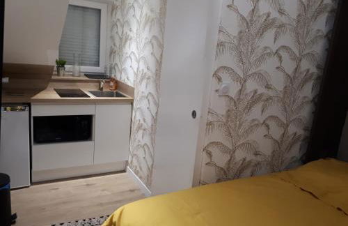 L'Essentiel, studio cosy, quartier Anatole France, CHU - Foto 3