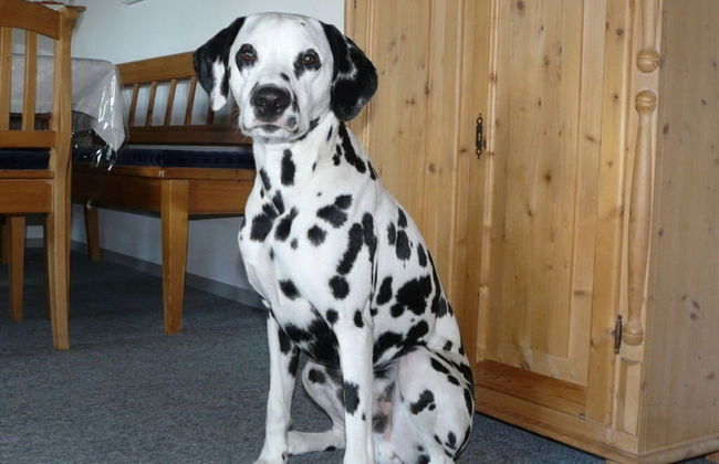 Hauzenberg App. 303 - Photo 13