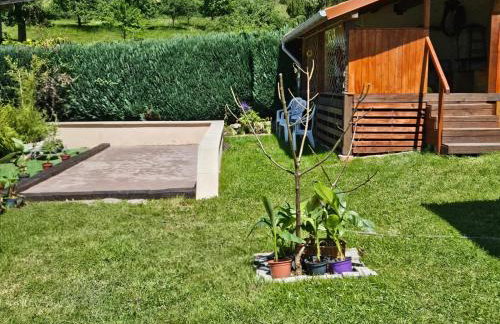 Gîte 4 à 10 Personnes avec sauna" La ferme des Sources" dans les Hautes Vosges - Foto 43