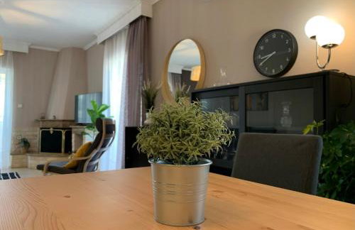 Agustin Apartment inThessaloniki -penthouse - Foto 8