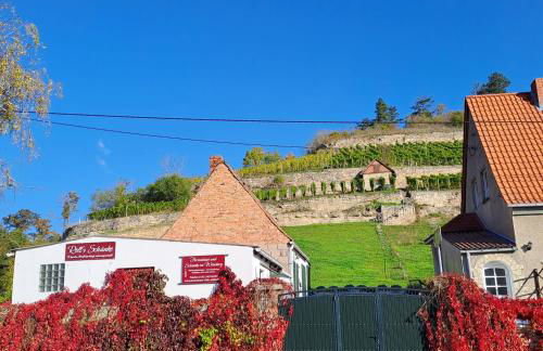 Ferienhaus und Straußwirtschaft im Weinberg - Foto 13