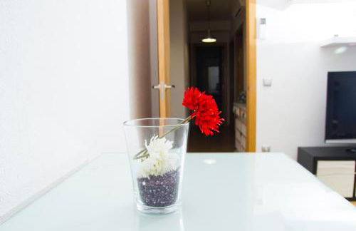 Apartamento ToleTum - Foto 7