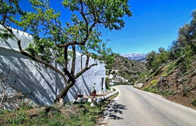 Finca el Almendro Archez - Foto 15