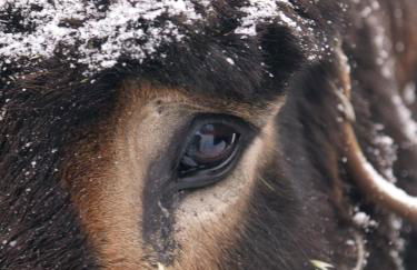 Casa da Ti Cura - Foto 55