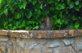 Agriturismo San Filippo - Foto 46