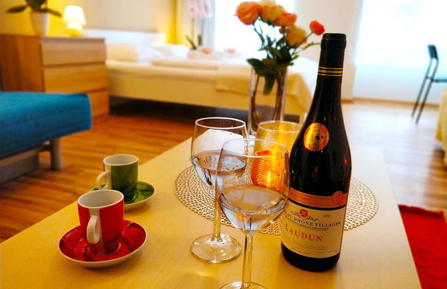 Lidicka Apartments - Foto 28