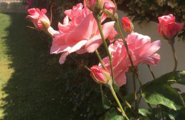 Villa Markos - Foto 16