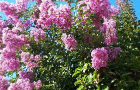 Andela Apartment - Foto 17