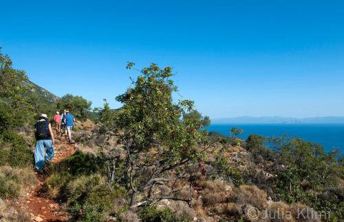 Studios Kyparissi & Spa - Photo 65