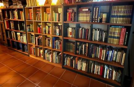 Casa Museu Nuno Miguel Henriques - Foto 57