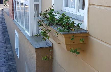 Gramado Garden Centro - Photo 67