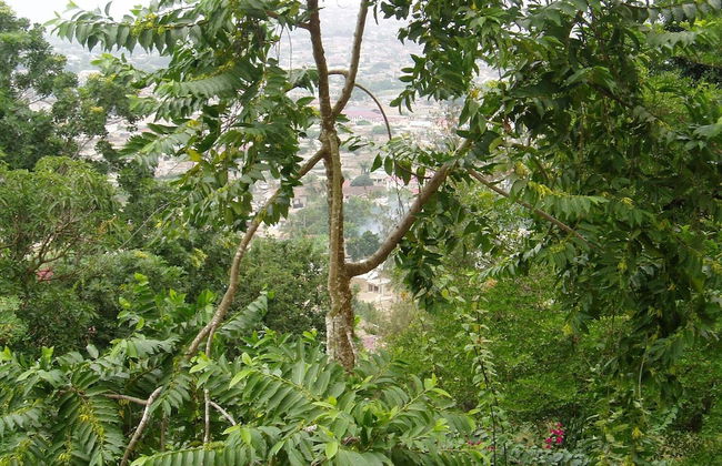 Nimohs' Holiday Home Mccarthy Hill Accra-ghana With Acs - Foto 29