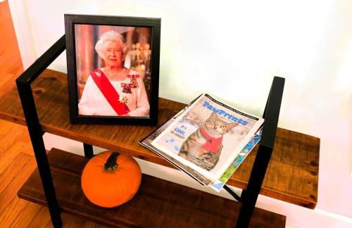 Charming 3-bedroom house in Wilmington with WiFi, AC - Foto 31