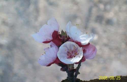 Agritur Scoiattolo - Foto 45