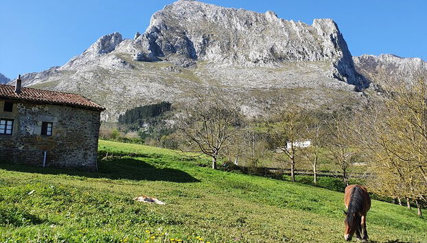 Tour privato visitando villaggi, foreste e valli in Biscaglia - Foto 4, Valle de Atxondo