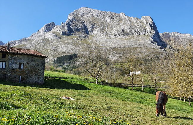 Tour privato visitando villaggi, foreste e valli in Biscaglia - Foto 4