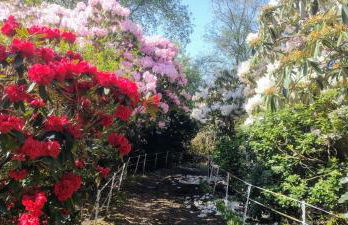 Granite Croft - Foto 35