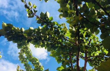 Tuscany Location - Foto 46