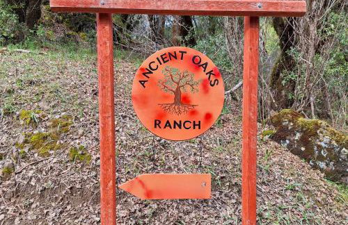 Hot Tub and Fire Pit Secluded Dos Rios Escape! - Foto 32