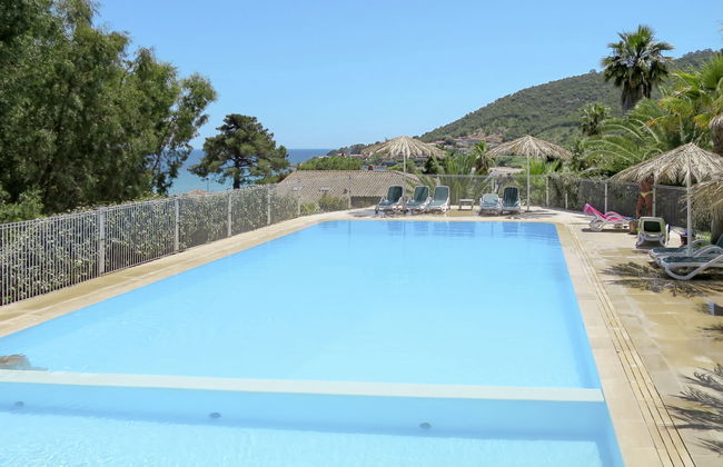 Stella di Mare - Foto 27