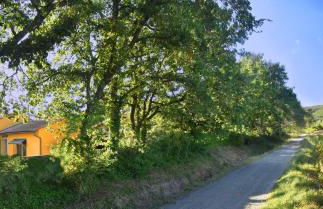 Maison Les Chênes - Jacuzzi - Calme & Idéalement situé - Clim - Salle de Jeux - Parking - Foto 7