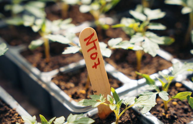 Milea Agritourism - Foto 55