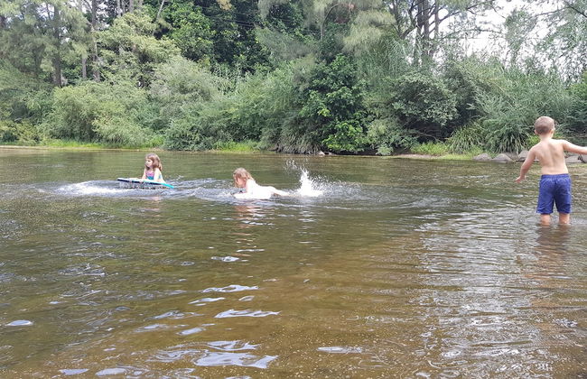 Carawirry Forest Escape - Foto 39