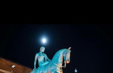 Mulberry Garden - Foto 39