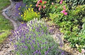 FH Ostfriesland to Huus, zw. Emden und Greetsiel - Foto 67