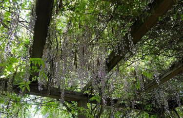 Villa Elena Tuscany - Pool & Garden Arezzo - IHH - Foto 15