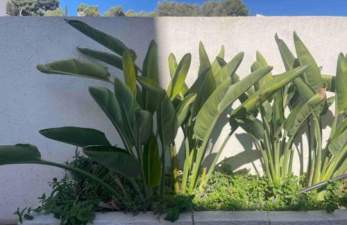 Le Loft de Mel à l'Estaque - atypique & vue mer - Foto 7